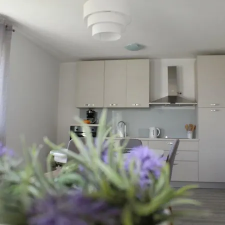 Apartment Cvita *